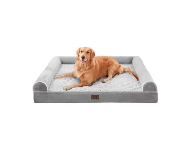 smart bed